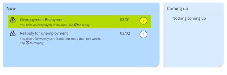 Image of Overpayment Repayment screen.